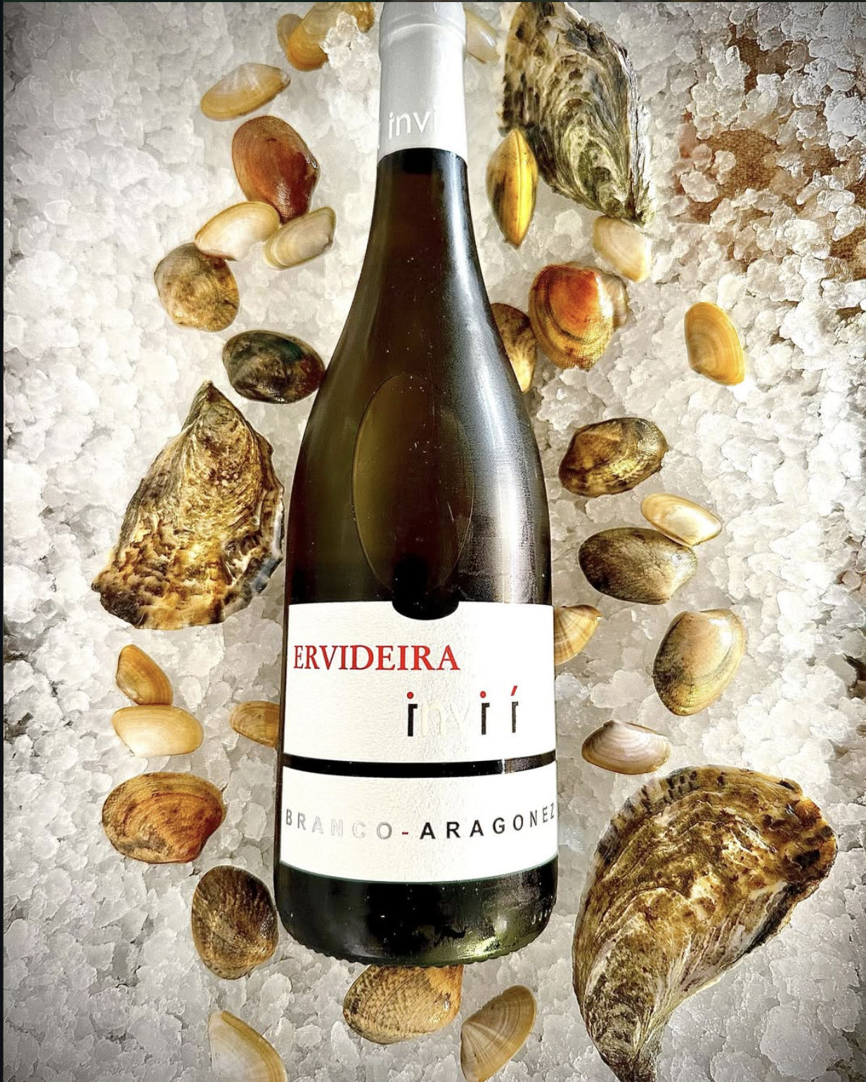 Vinho branco no gelo com amêijoas e ostras